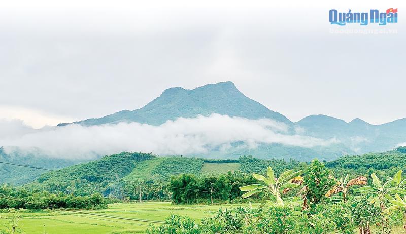 Ruộng, rẫy xanh rì dưới chân núi Cao Muôn, xã Ba Vinh (Ba Tơ).  Ảnh: Thanh Nhị