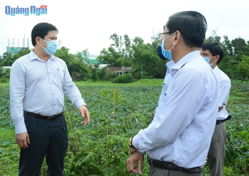 Phó Chủ tịch UBND tỉnh Trần Phước Hiền thực tế tại cánh đồng Nại, xã Bình Thạnh.
