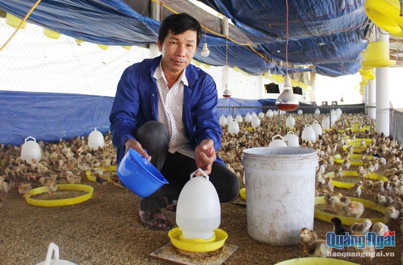 Mỗi năm, ông Nguyễn Tấn Dũng thu về hơn 800 triệu đồng từ việc nuôi heo, gà. 