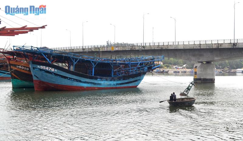 Ngư dân xã Bình Chánh (Bình Sơn) đưa thúng lên các tàu câu mực xà để chuẩn bị vươn khơi xa.                      Ảnh: ĐÔNG YÊN 