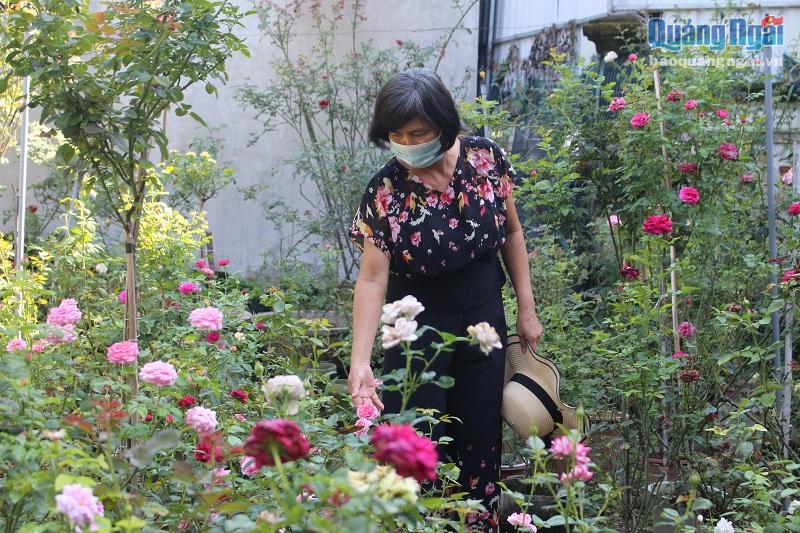 Bà Trương Thị Quỳnh bên những chậu hồng ngoại mởi nhân giống được hơn 1 năm
