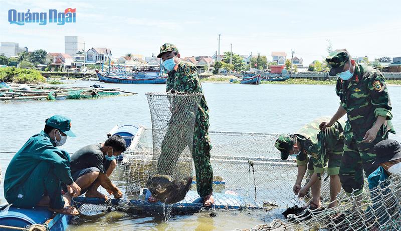 Lực lượng vũ trang TP.Quảng Ngãi giúp ngư dân xã Nghĩa An thu hoạch cá sau bão số 5.