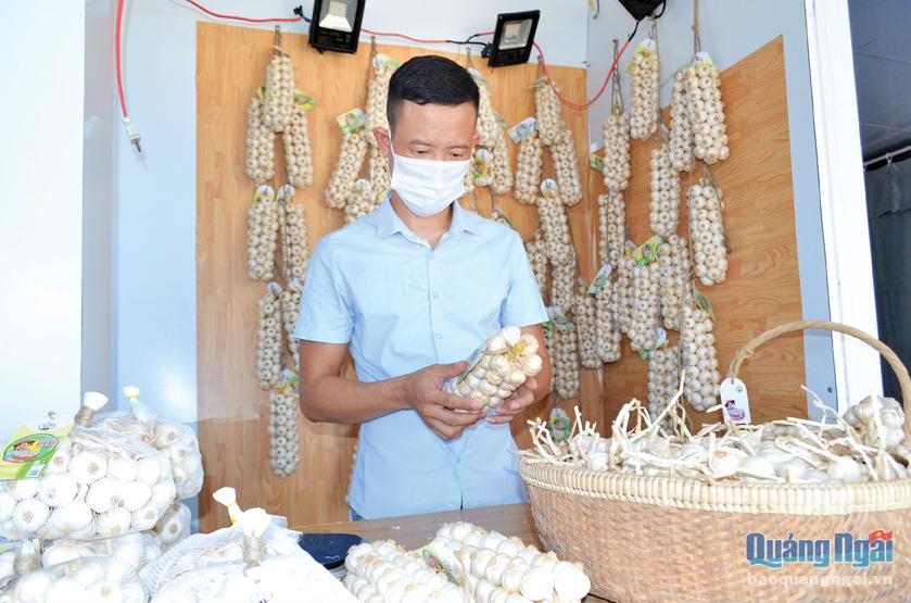 Doanh nghiệp kinh doanh tỏi đang chờ được cấp quyền sử dụng chỉ dẫn địa lý tỏi Lý Sơn để phát triển thị trường, nâng cao hiệu quả kinh tế. 