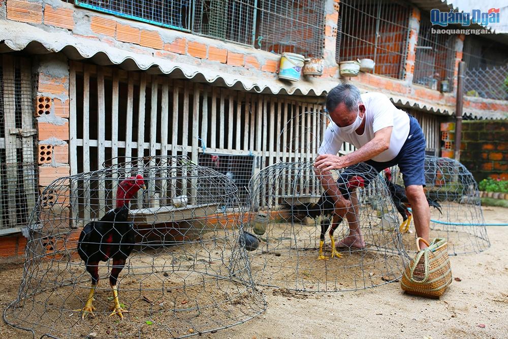 Mô hình nuôi gà trên đệm lót sinh học cho thu nhập 400 triệu đồngnăm   baotintucvn