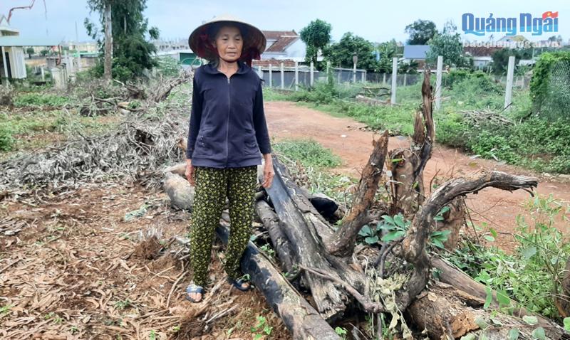 Đống cây bị đốt cháy nham nhở sau khi đất của gia đình bà Huỳnh Thị Long bị san ủi. 
