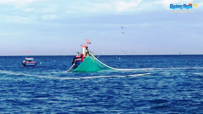 Video: Hiệu quả từ tổ đoàn kết sản xuất trên biển