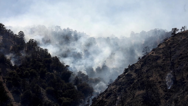 Khói bốc lên cuồn cuộn từ đám cháy rừng Sheep Fire ở Wrightwood, California, ngày 13/6/2022. (Ảnh: Reuters)