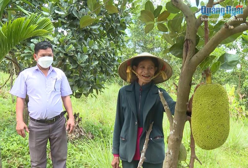 Bà Đinh Thị Nga phấn khởi vì vườn mít đã cho trái.                             Ảnh: Cẩm Thư