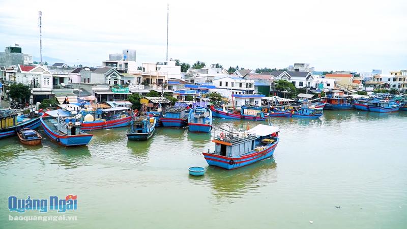Tàu cá của ngư dân ở các xã Nghĩa An, Nghĩa Phú (TP.Quảng Ngãi) nằm bờ vì giá xăng, dầu tăng cao. 
