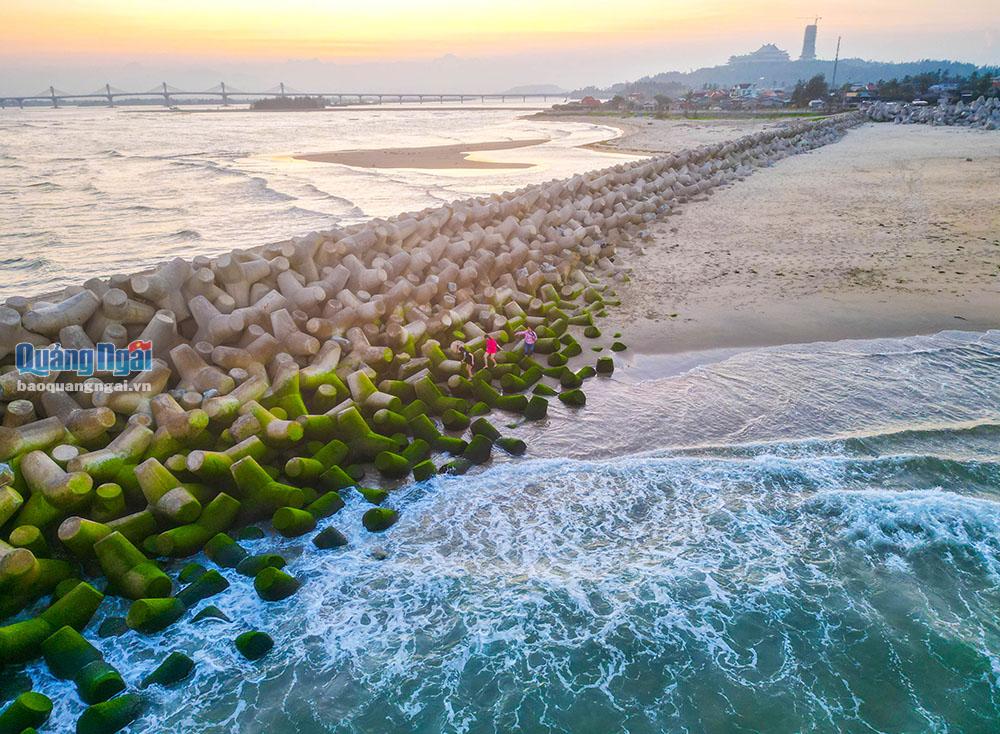 Sau những ngày mưa lạnh, đến tháng Giêng, tiết trời nắng ấm là lúc rêu xanh bắt đầu mọc trên các tảng đá, trụ bê tông nằm dọc bên bờ biển.