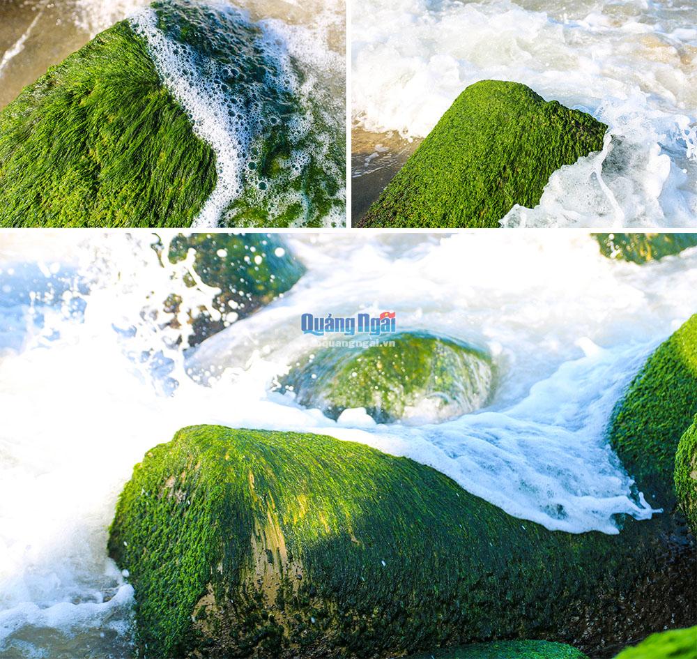 Những tảng đá phủ rêu nằm ẩn hiện giữa sóng nước.
