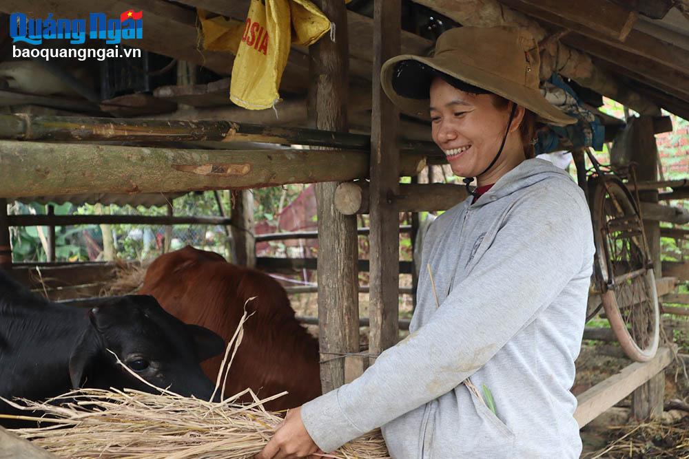Chị Hồ Thị Hương, ở thôn Đông xã Trà Sơn (Trà Bồng) được hỗ trợ bò giống để phát triển kinh tế gia đình.
ẢNH: VIỆT CƯỜNG