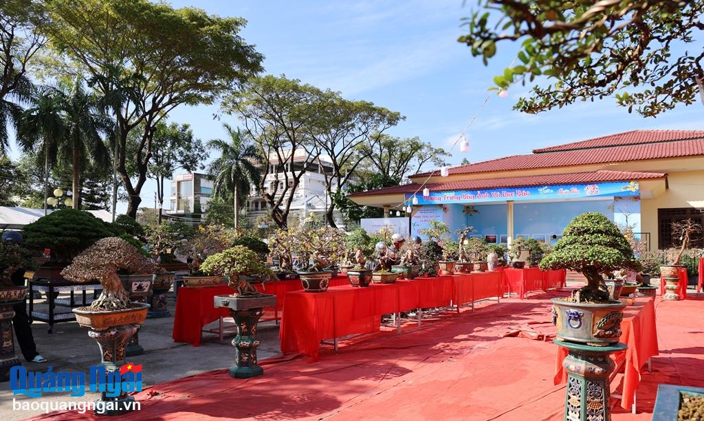 Tham gia triển lãm có gần 200 tác phẩm cây cảnh nghệ thuật, bonsai của 72 hội viên, nghệ nhân và các nhà vườn trong tỉnh. 