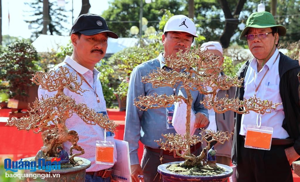 Các thành viên Ban tổ chức chấm điểm các tác phẩm bonsai dự thi.