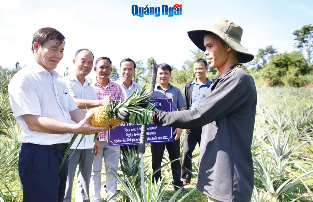 Sơn Tây, từ không đến có