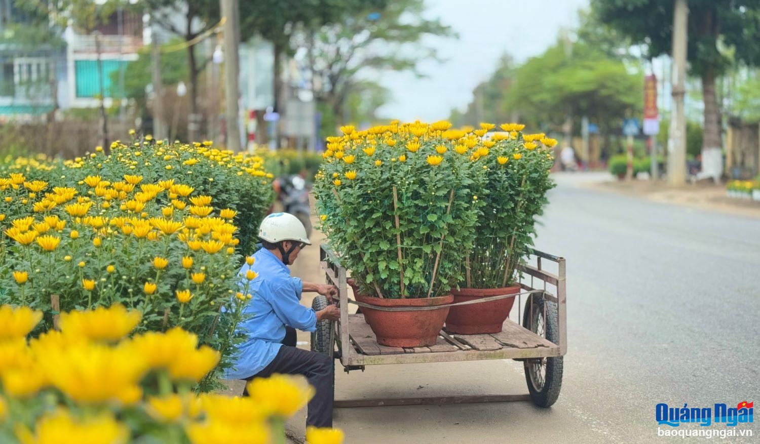 Các chậu hoa được buộc chặt trên xe để tránh hư hỏng, ngã đổ trong quá trình di chuyển.