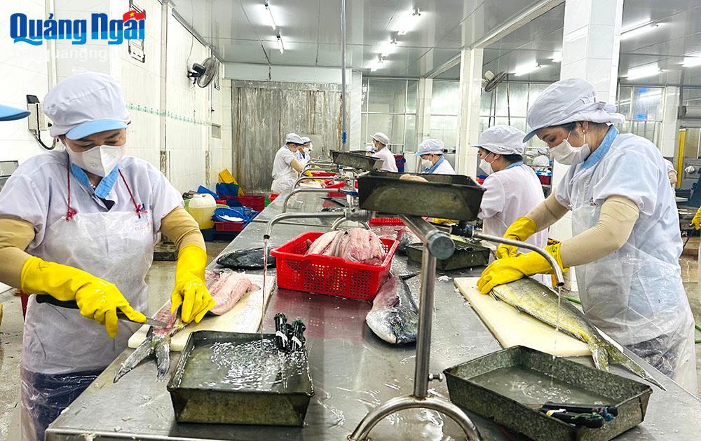 Hoạt động sản xuất tại Công ty TNHH MTV Xuất nhập khẩu thủy sản Hải Phú, ở KCN Quảng Phú (TP.Quảng Ngãi) nhộn nhịp ngay những ngày đầu năm 2024.