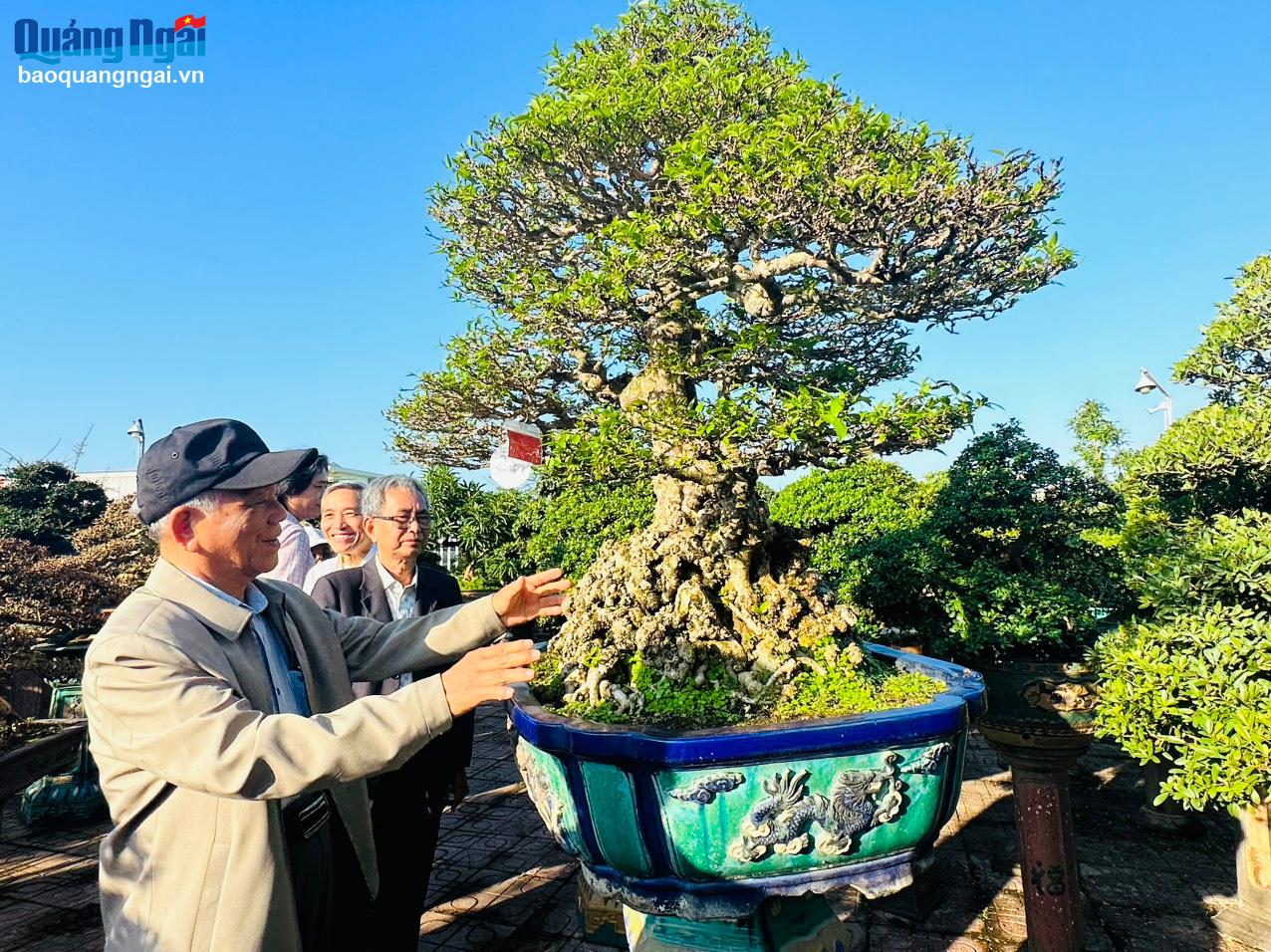 Các đại biểu thăm quan cây cảnh tại nhà vườn Phương Mai, phường Quảng Phú (TP.Quảng Ngãi).
