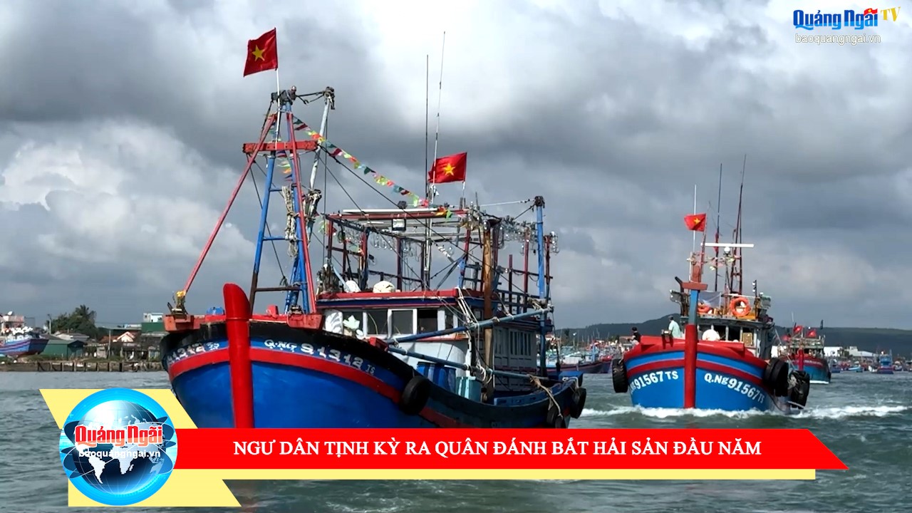 [Video]. Ngư dân Tịnh Kỳ ra quân đánh bắt hải sản đầu năm