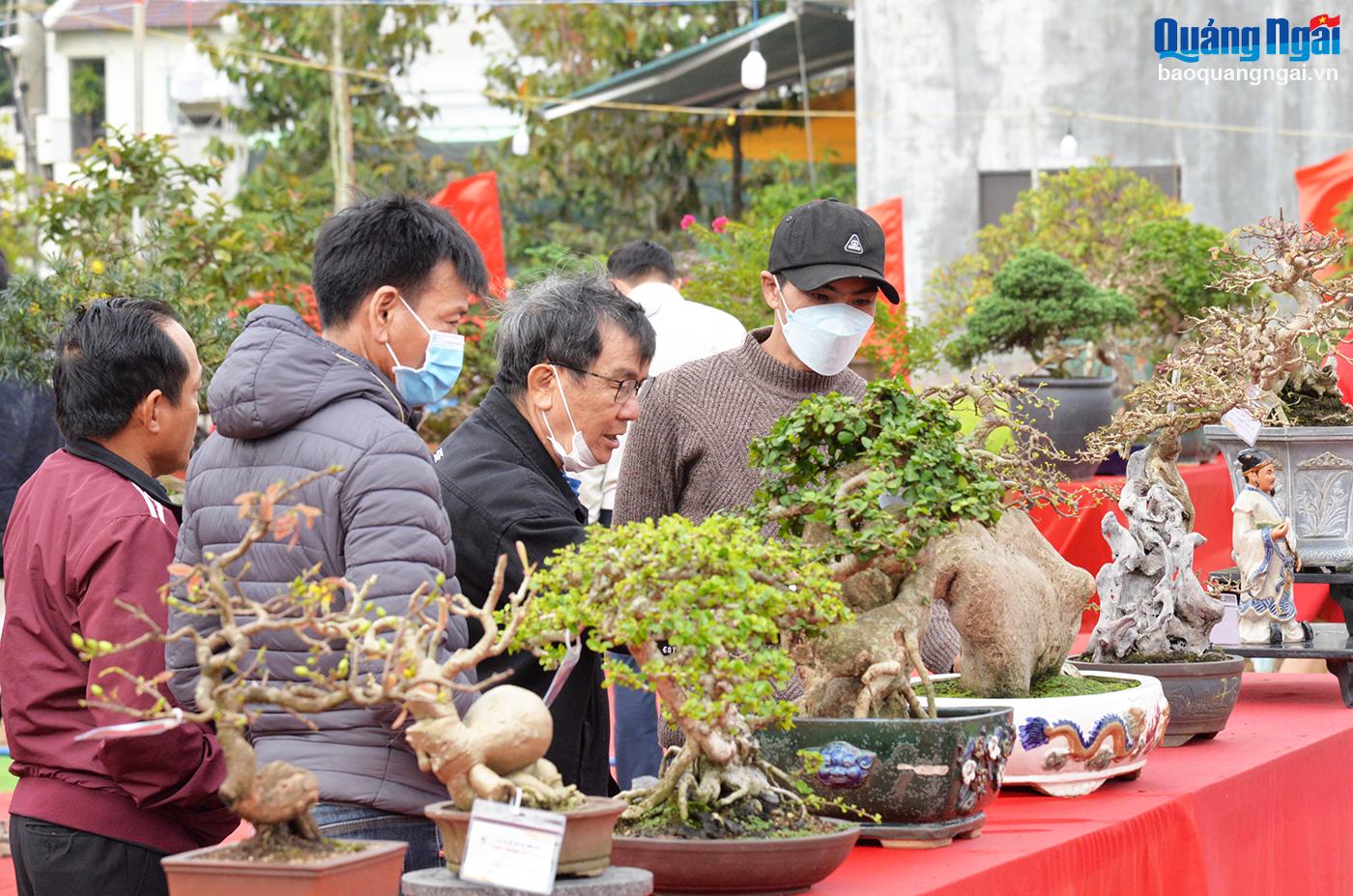 Gần 500 cây cảnh, bonsai được trưng bày tại chương trình.