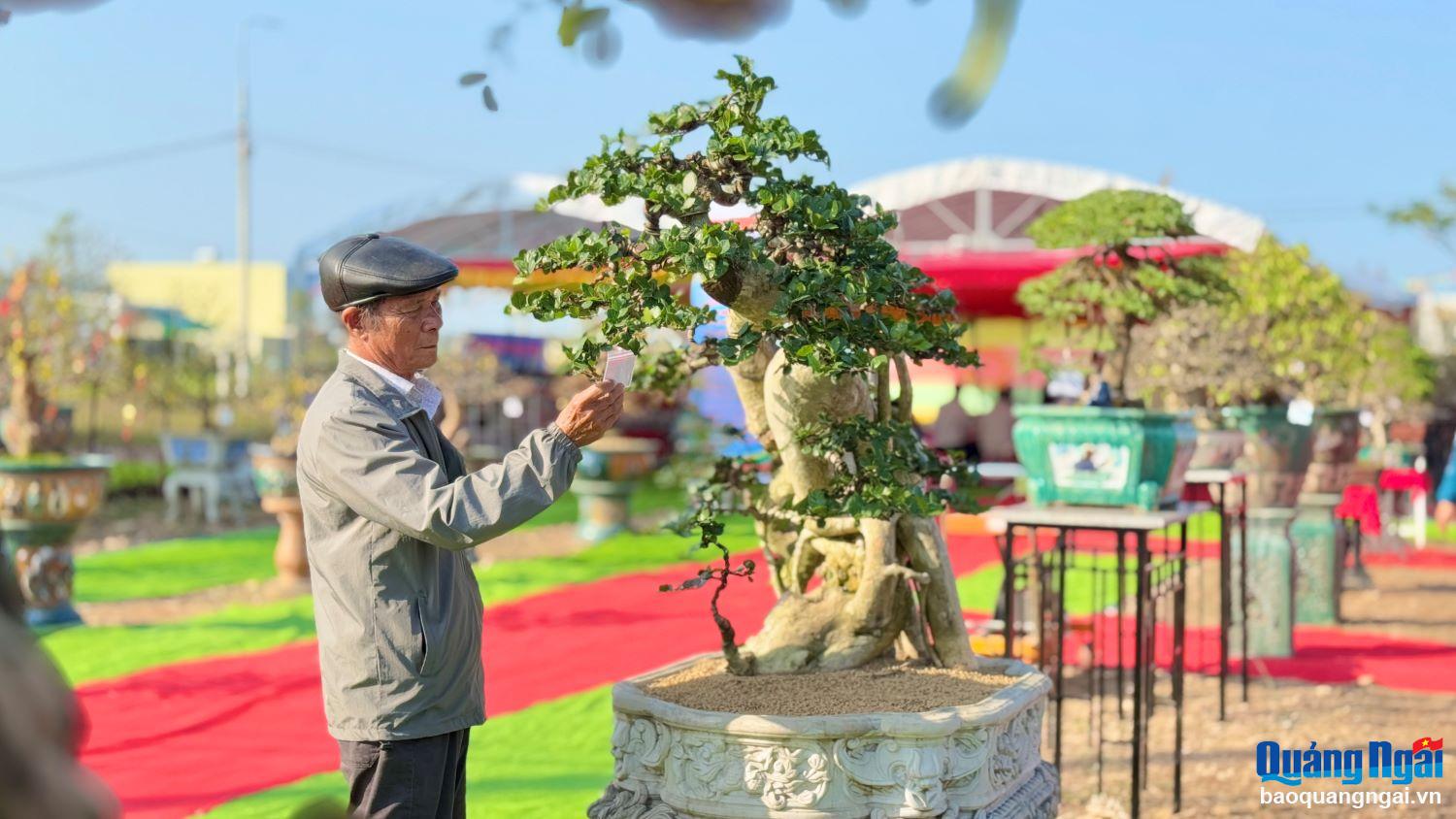 Khách tham quan chiêm ngưỡng những cây bonsai có thế đẹp.