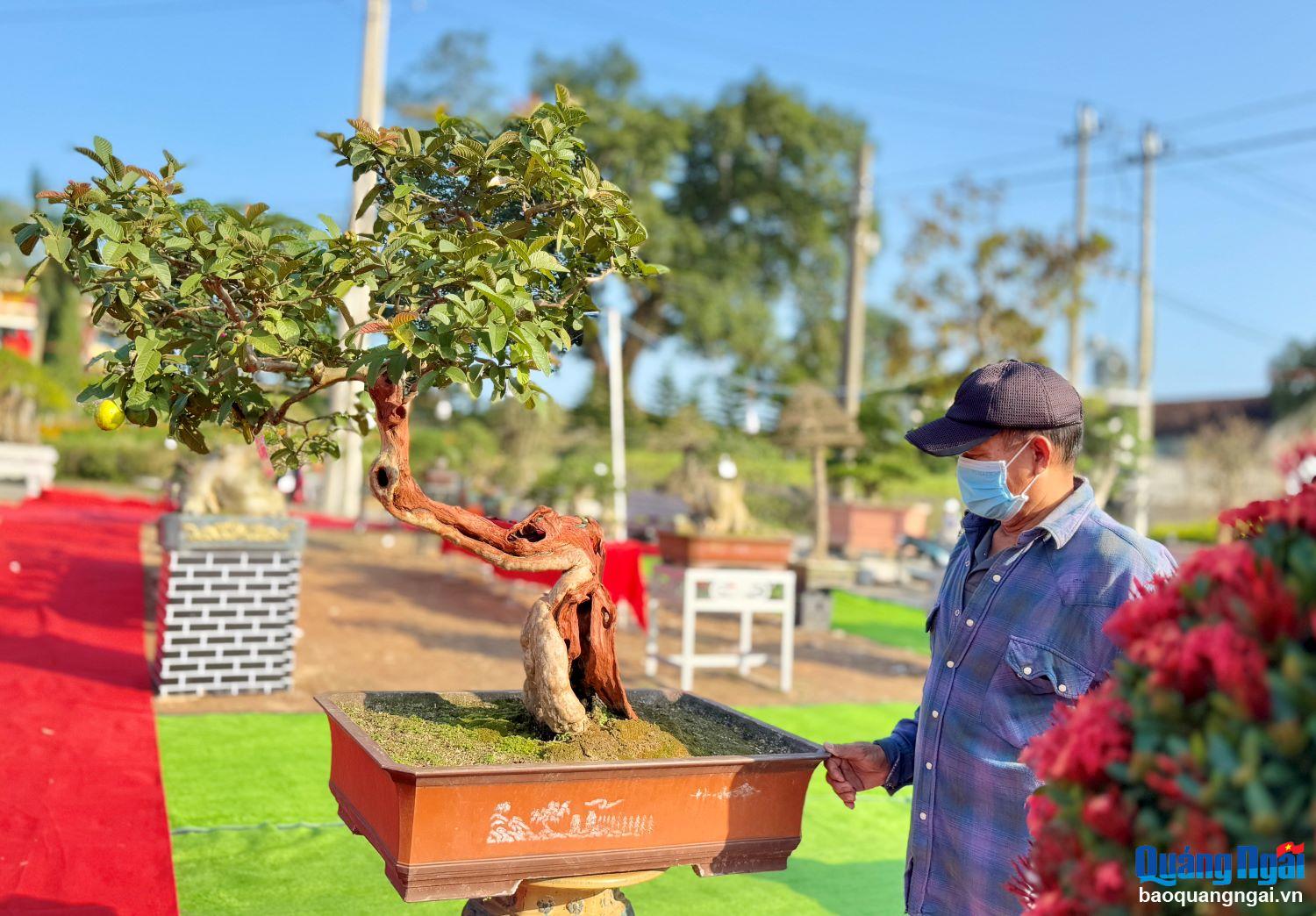 Một cây bonsai đẹp không chỉ ở màu sắc mà còn phải có hồn, mang trong mình một ý nghĩa.