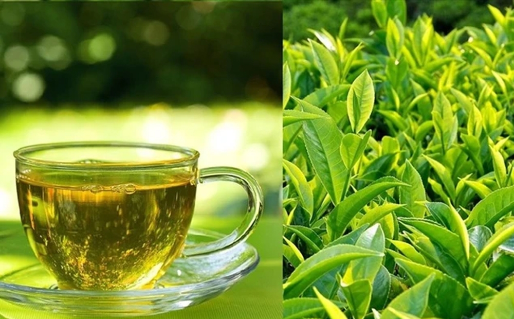 Chất chống oxy hóa tự nhiên catechin (EGCG) trong trà xanh giúp ngăn ngừa tổn thương tế bào.