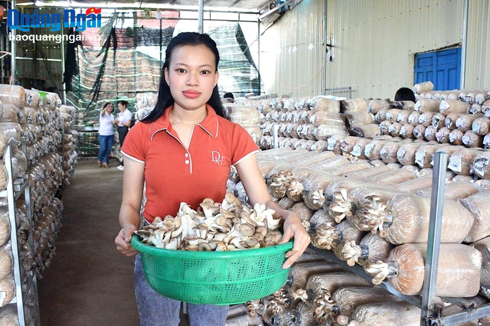 Chị Trương Thị Lệ Quyên khởi nghiệp thành công với mô hình nấm bào ngư.
ẢNH: K.CÚC
