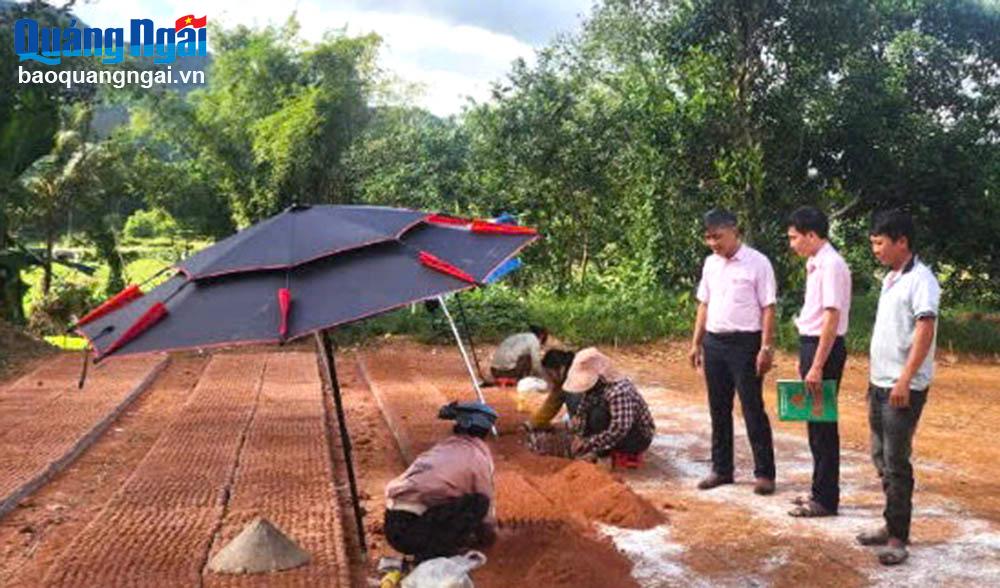 Nhân viên Phòng Giao dịch Ngân hàng Chính sách xã hội huyện Ba Tơ kiểm tra việc đầu tư phát triển sản xuất từ nguồn vốn vay chính sách tại xã Ba Thành.	