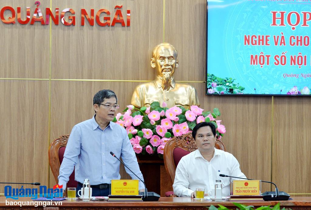 Phó Tổng Giám đốc EVN Nguyễn Tài Anh phát biểu tại cuộc họp.