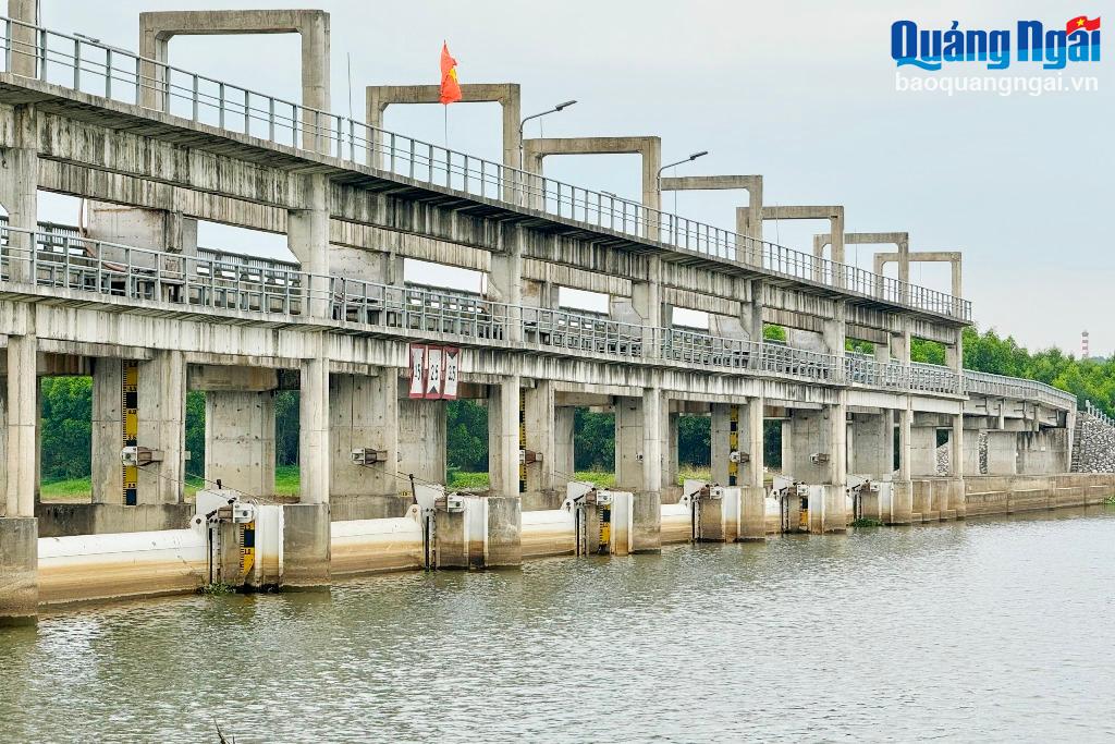 Đập ngăn mặn sông Trà Bồng đang phát huy hiệu quả tích cực trong sản xuất nông nghiệp và công nghiệp.