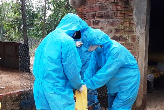 Quảng Ngãi đang cấp bách triển khai các biện pháp phòng, chống dịch cúm A/H5N1.