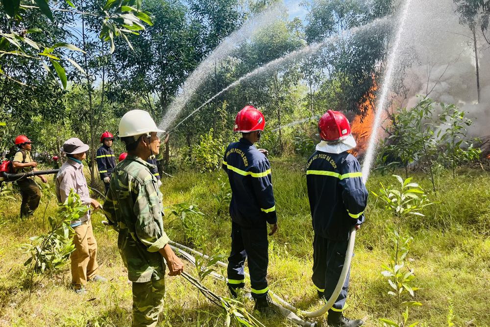 Diễn tập chữa cháy rừng tại xã Tịnh Thiện