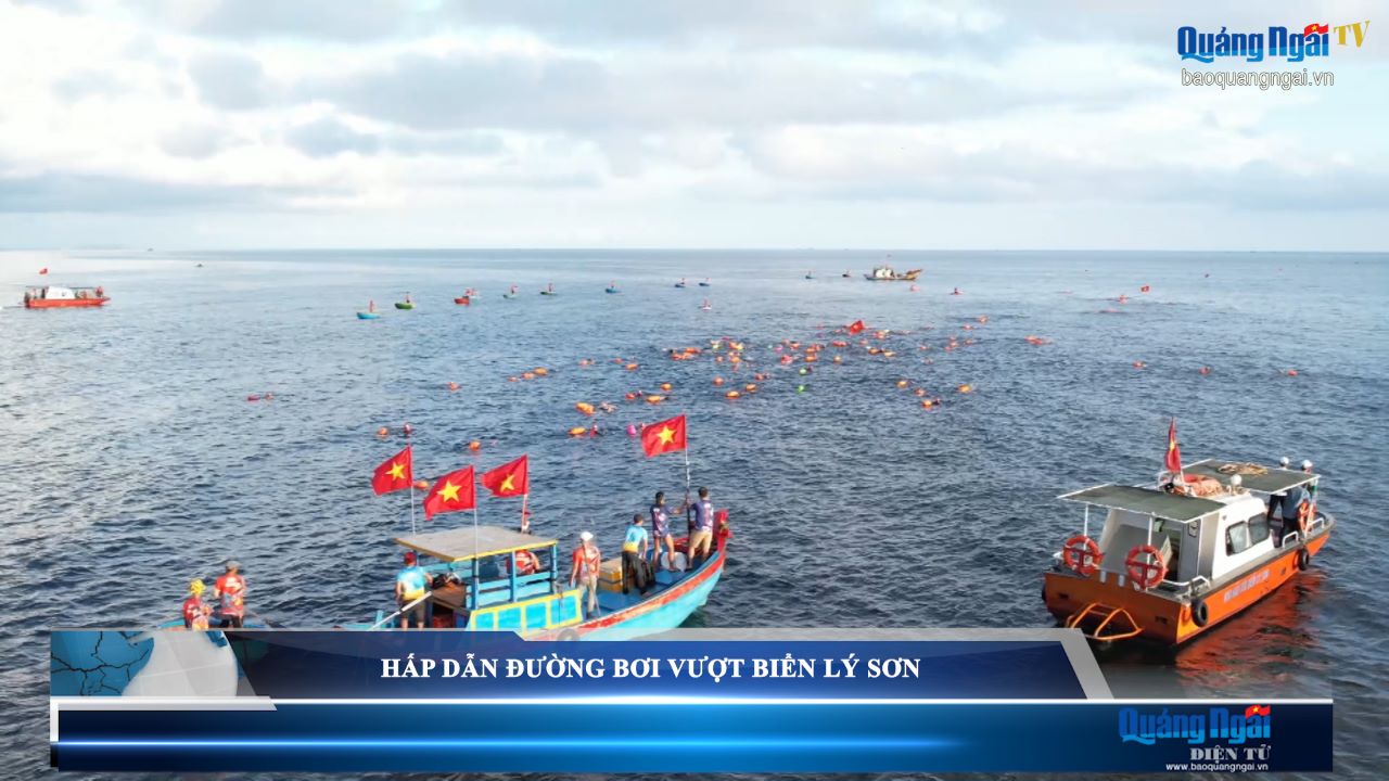 Video: Hấp dẫn đường bơi vượt biển ở Lý Sơn