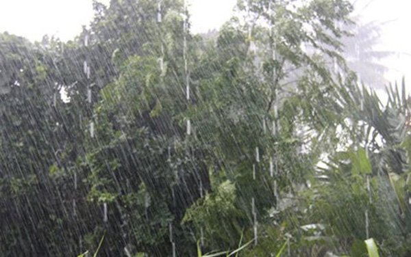 Quảng Ngãi, cảnh báo mưa dông và mưa lớn cục bộ