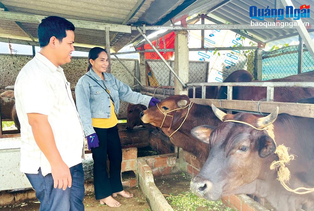 Nhờ hỗ trợ nguồn vốn vay và tập huấn kỹ thuật sản xuất, chăn nuôi mà nhiều hội viên nông dân ở huyện Minh Long vươn lên phát triển kinh tế gia đình.