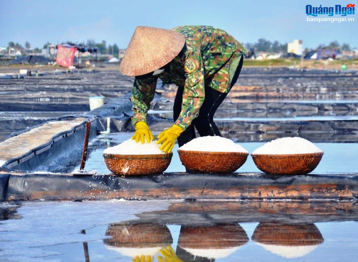Phát triển nghề muối Sa Huỳnh gắn với du lịch cộng đồng