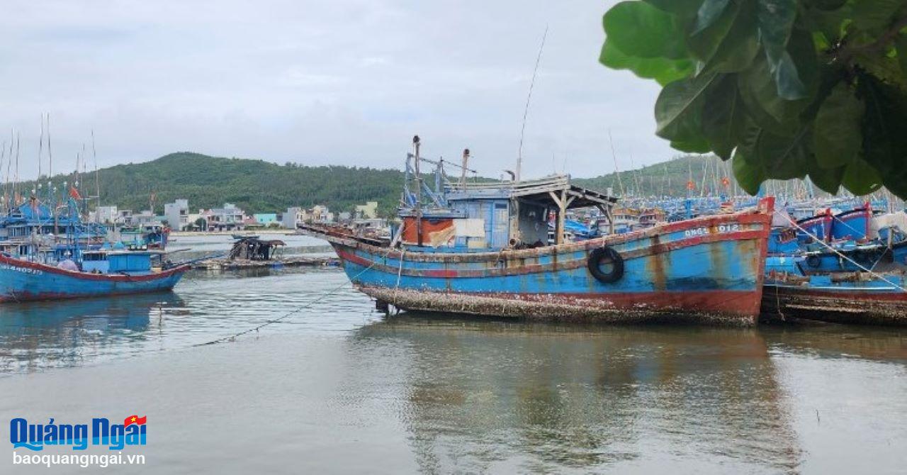 Khu vực cảng cá Sa Huỳnh (TX.Đức Phổ) thường xuyên bị bồi lấp nên việc neo đậu tàu thuyền của ngư dân gặp khó.