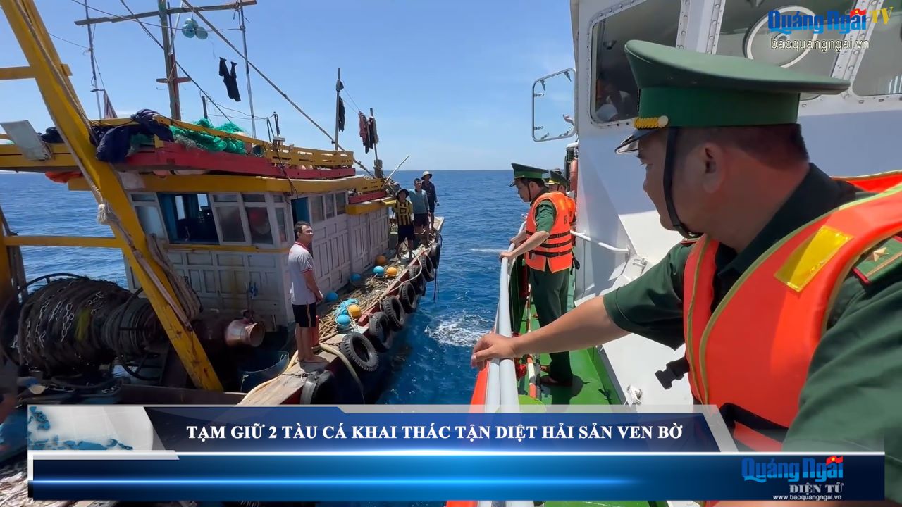 Video: Tạm giữ 2 tàu cá khai thác tận diệt hải sản ven bờ