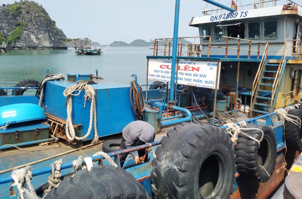 Vì vướng quy định nên tàu hậu cần vỏ thép của ngư dân Nguyễn Văn Cư, ở xã Nghĩa An (TP.Quảng Ngãi), hoạt động cầm chừng, thường xuyên thua lỗ.   