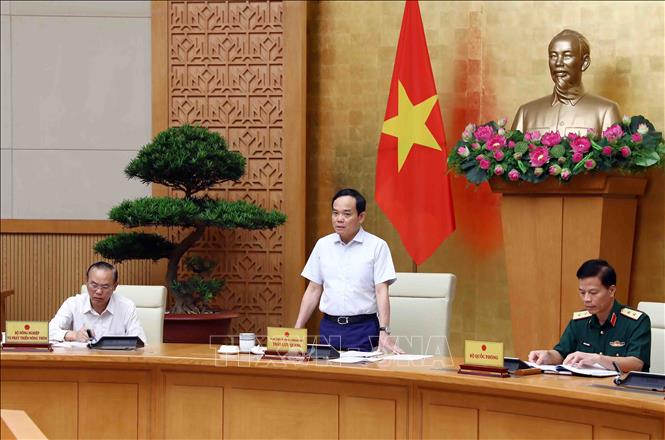 Phó Thủ tướng Chính phủ Trần Lưu Quang phát biểu chỉ đạo. (Ảnh TTXVN)