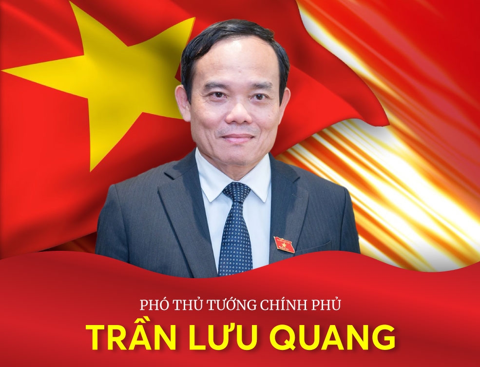 [Infographic]. Nhiệm vụ của Phó Thủ tướng Chính phủ Trần Lưu Quang
