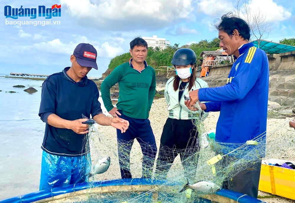Ngư dân Dương Tạo, ở thôn Tây An Hải (Lý Sơn), cùng người nhà gỡ cá sau một đêm đánh bắt.
