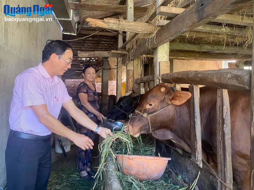Bà Nguyễn Thị Tuyết Nhung ở thôn Trường Xuân, xã Tịnh Hà vay vốn Ngân hàng Chính sách xã hội để chăn nuôi bò.	
