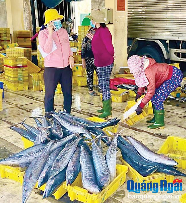 Thu mua cá tại cảng cá Mỹ Á, phường Phổ Quang (TX.Đức Phổ).