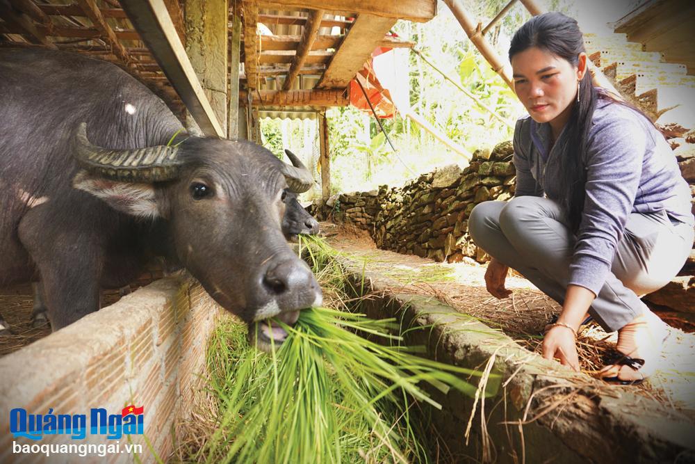 Chị Đinh Thị Đăng là tấm gương sáng trong công việc cũng như phát triển 
kinh tế gia đình.