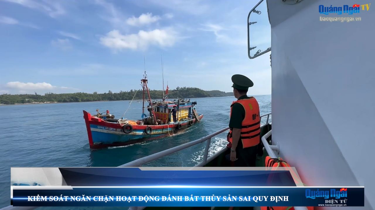 Video: Kiểm soát, ngăn chặn hoạt động đánh bắt thủy sản sai quy định