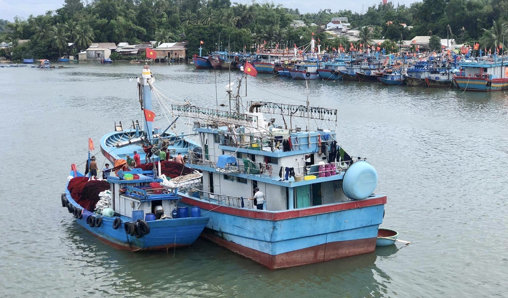 Nợ xấu trong  lĩnh vực thủy sản đang ở mức cao.                                      
