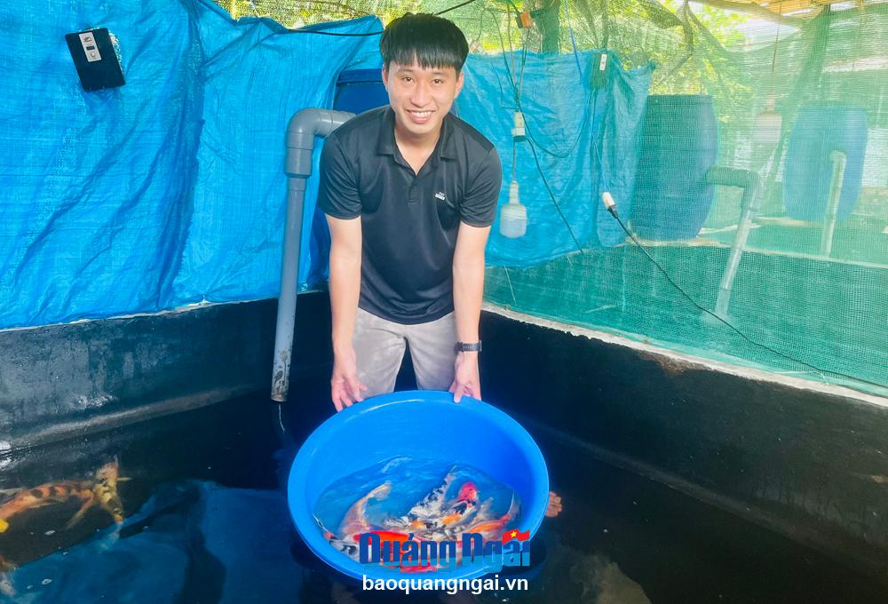 Anh Lê Thành Vinh, ở thôn Điền Chánh, xã Nghĩa Điền (Tư Nghĩa), có nguồn thu nhập khá từ nghề nuôi cá Koi.