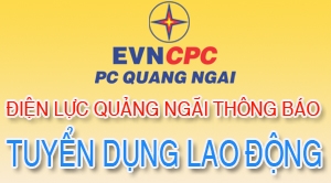 CÔNG TY ĐIỆN LỰC QUẢNG NGÃI THÔNG BÁO:: Tuyển dụng lao động đợt 2 năm 2024